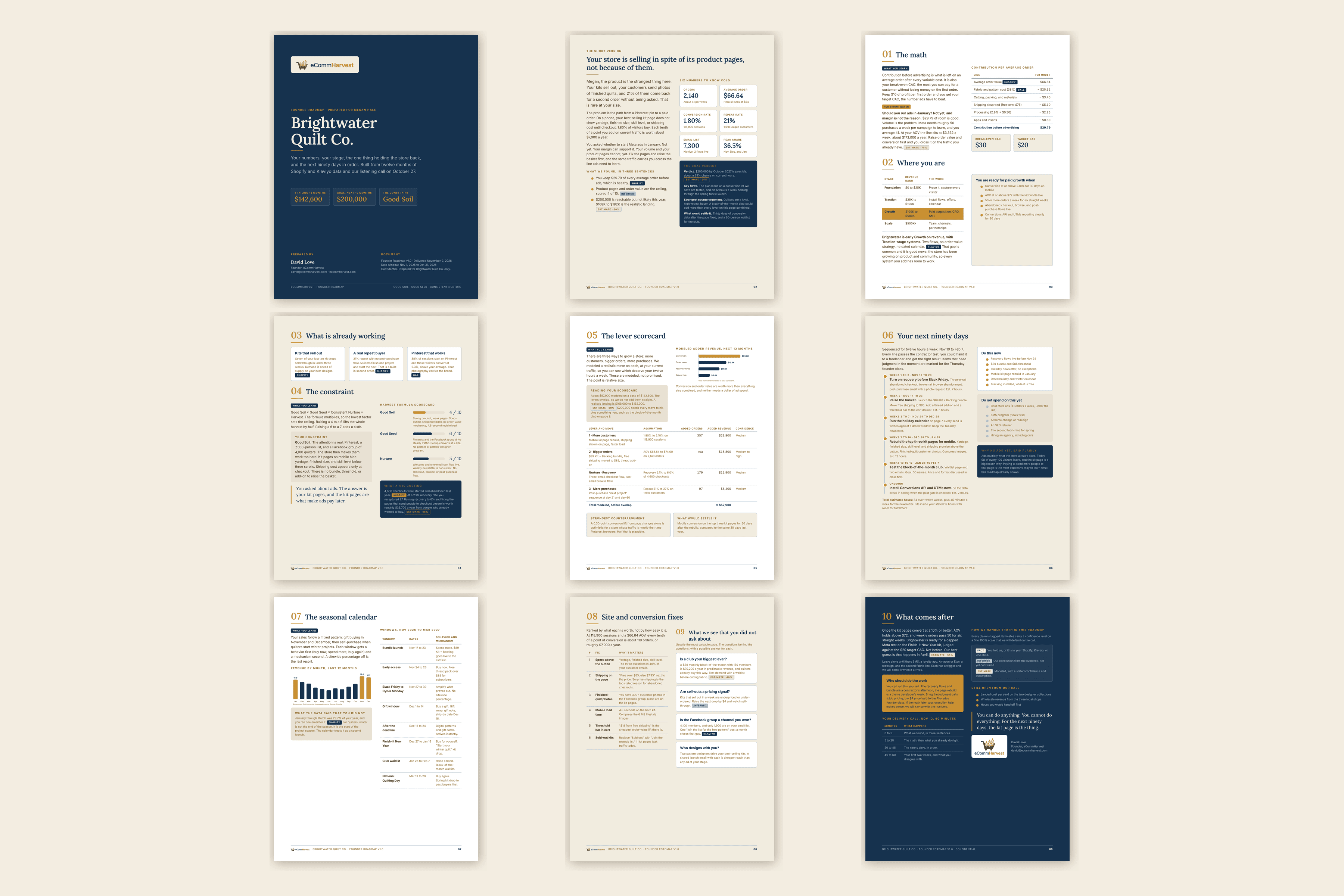 All nine pages of a sample Founder Roadmap laid out in a grid